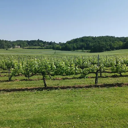 Viso, Proche Saint Emilion Сasa de vacaciones Belvès-de-Castillon
